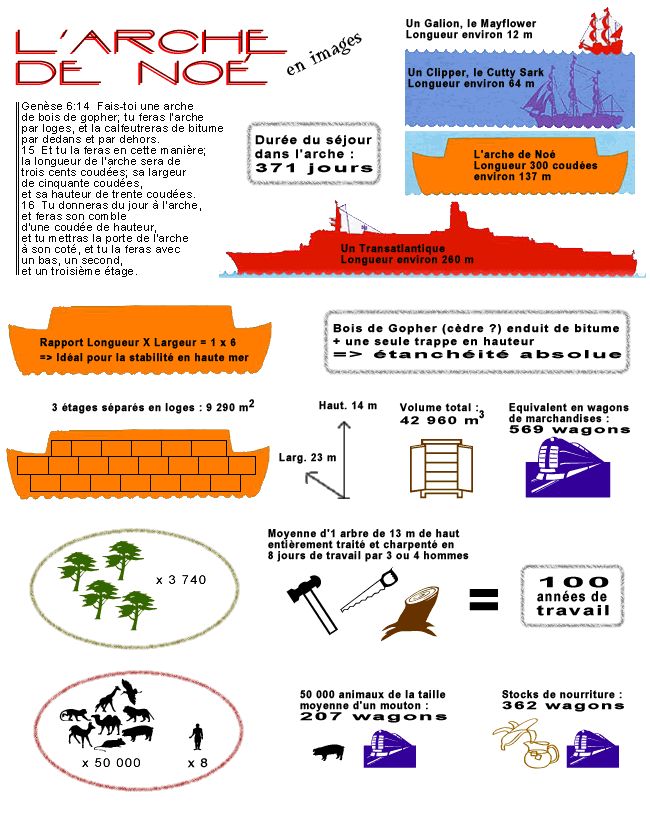 L'arche de Noé en images